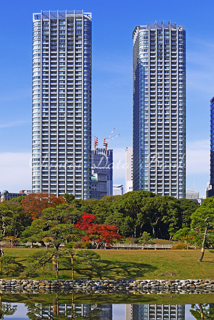 東京ツインパークス