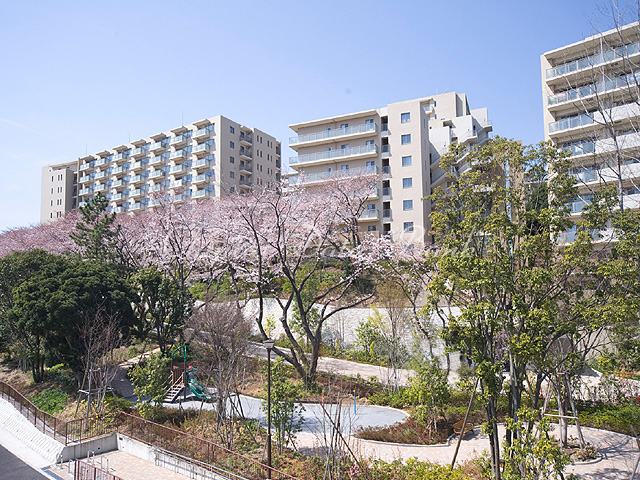 外観桜