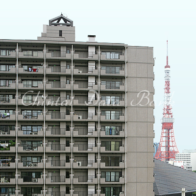 外観＆東京タワー