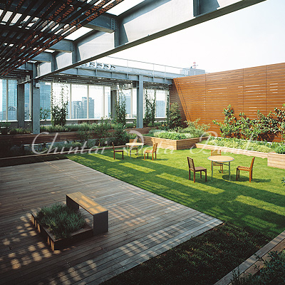 スカイガーデン