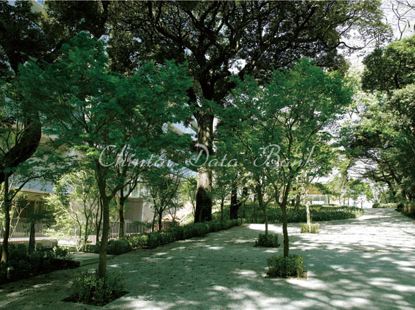 フォレスト・イン・フォレスト