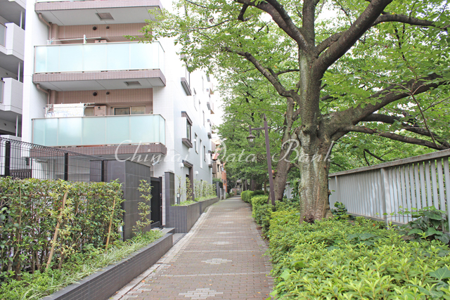 神田川沿い（緑道）