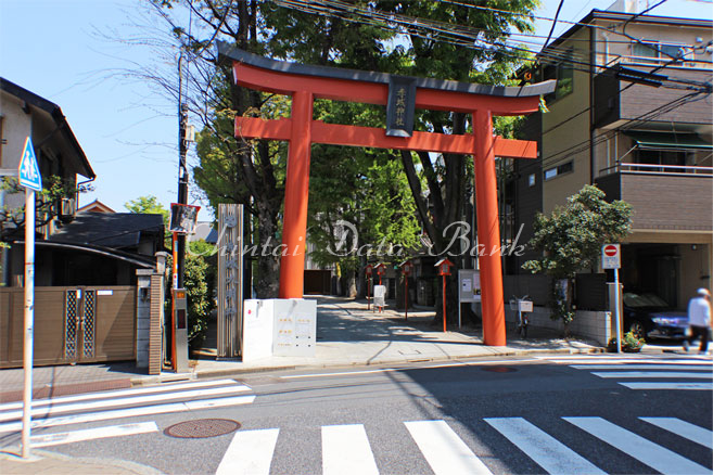 赤城神社鳥居