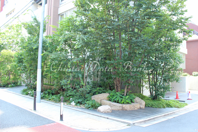 敷地内植栽