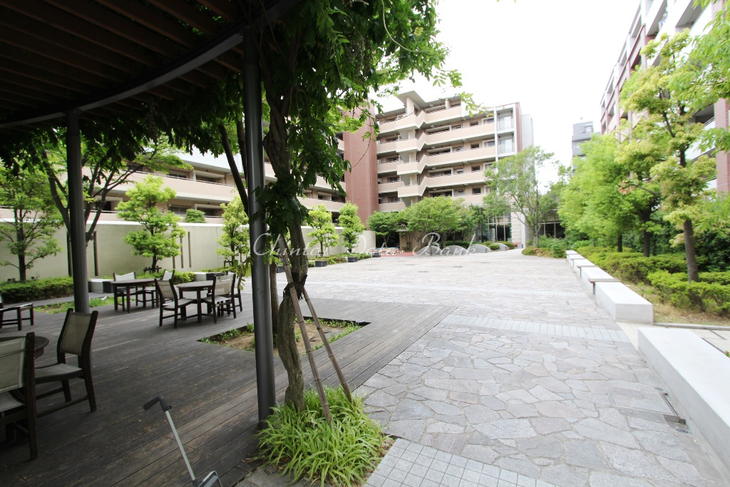 中庭