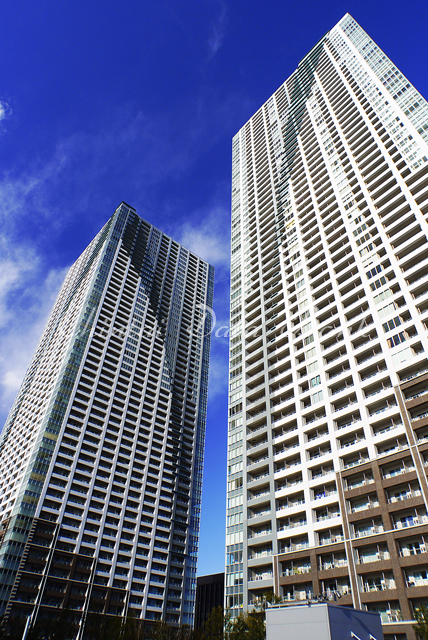 ザ・東京タワーズ シータワー