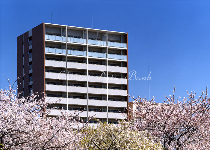 コスモ東陽町シティフォルム外観