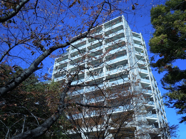 外観2