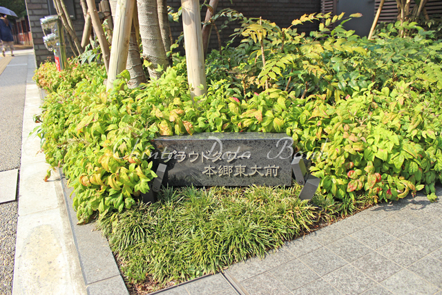 プラウドタワー本郷東大前