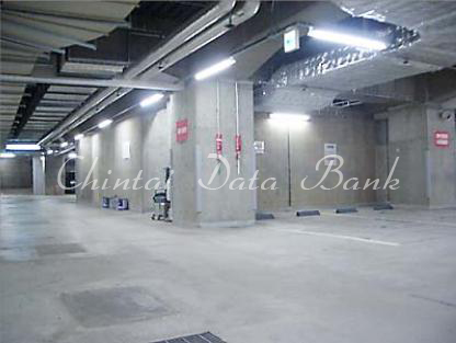 地下平置き駐車場