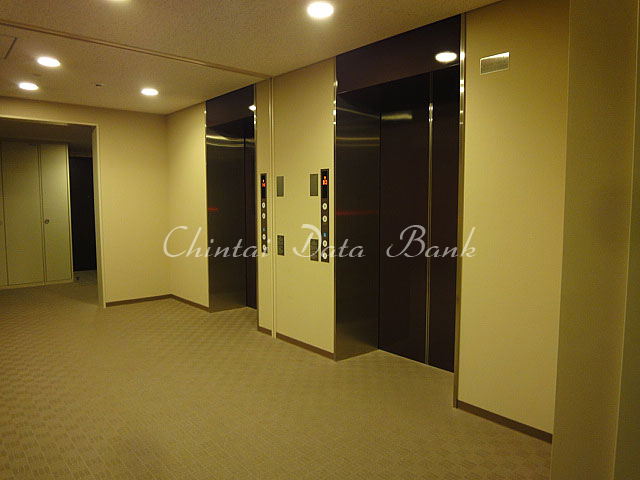 エレベーターホール