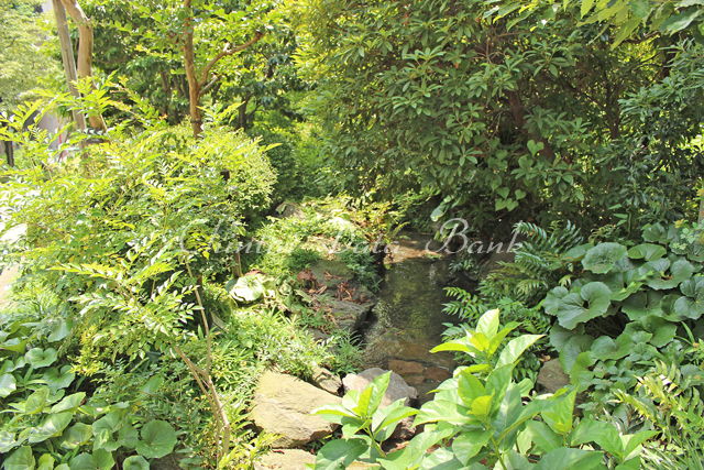 麹町ミレニアムガーデン3