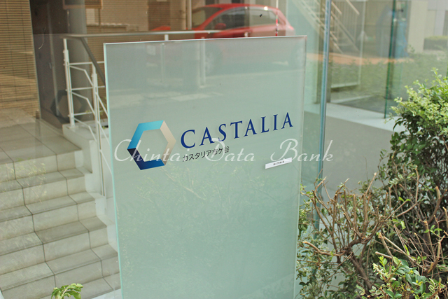 カスタリア市ヶ谷