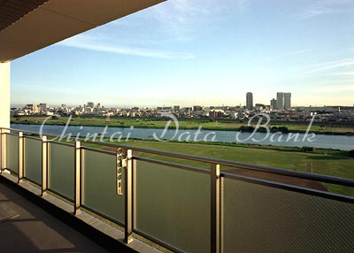 バルコニーより多摩川を望む