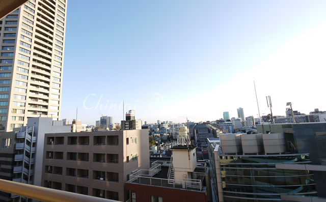 フォレシティ麻布十番弐番館眺望