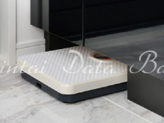 ヘルスメーター収納スペース