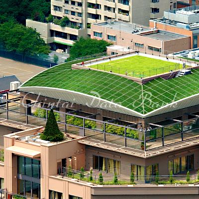 スカイデッキ