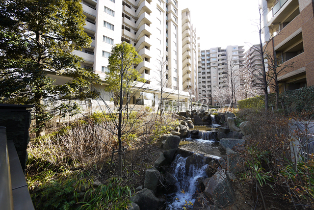 建物前　敷地内