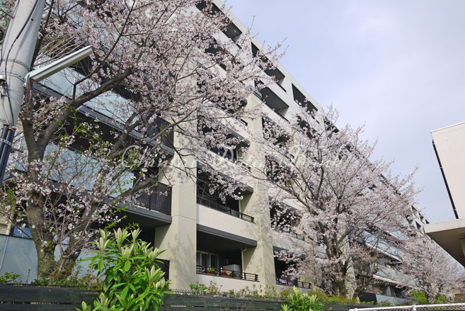 建物前3