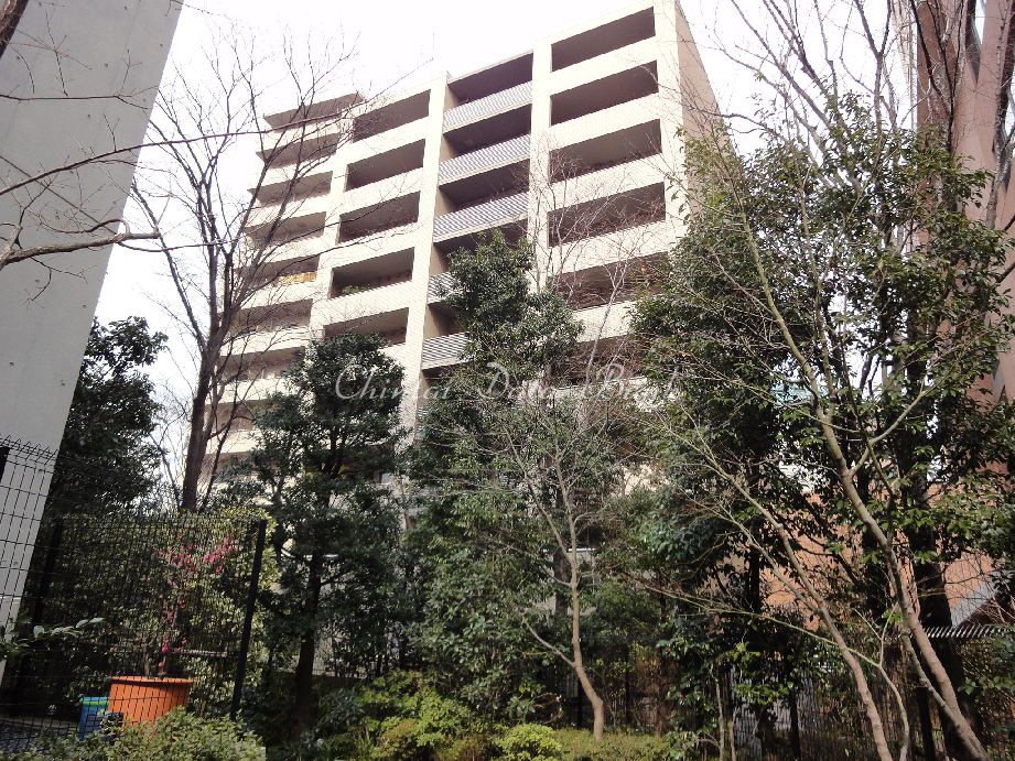センターレジデンス　外観