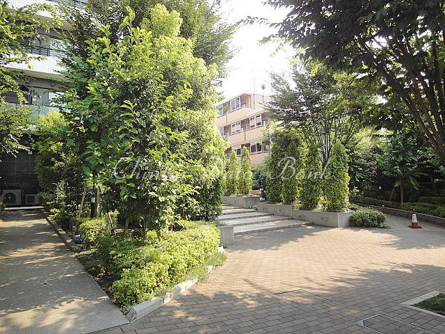 建物周辺4